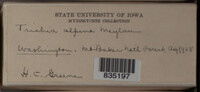 Image Associated With the Occurence
